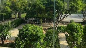 未分類圖片，第 2 張 (共 22 張)，按鈕