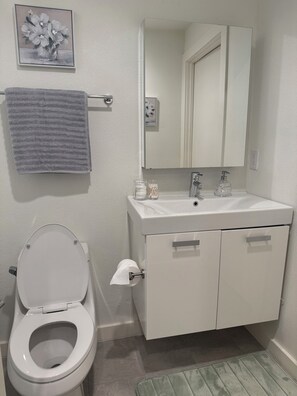 Regadera, toallas, papel de baño 