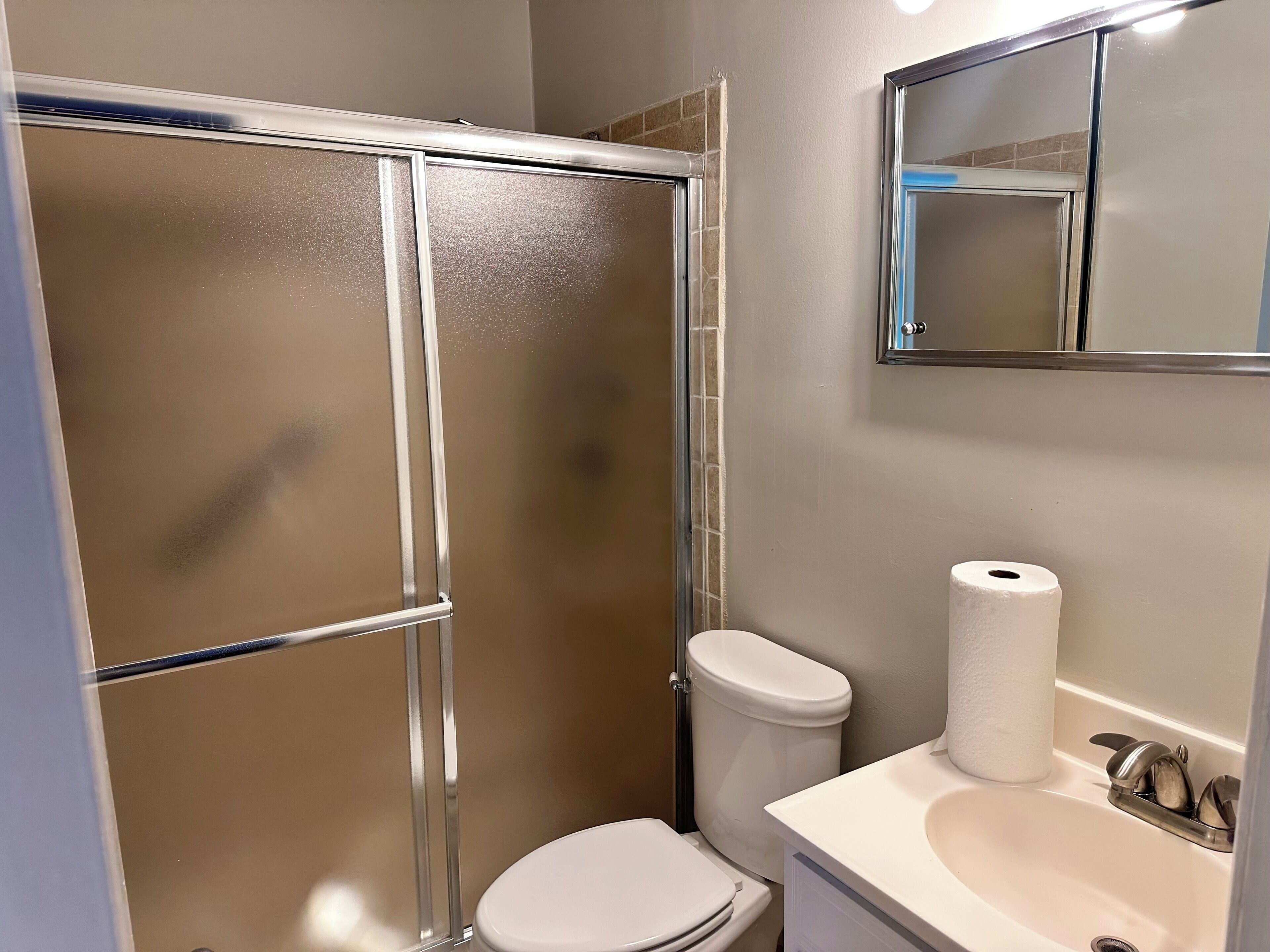 Une salle de bain comprenant un espace douche, des toilettes, un lavabo et un miroir.