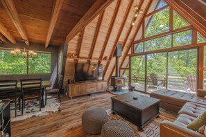 Smart TV, fireplace, video games, DVD player