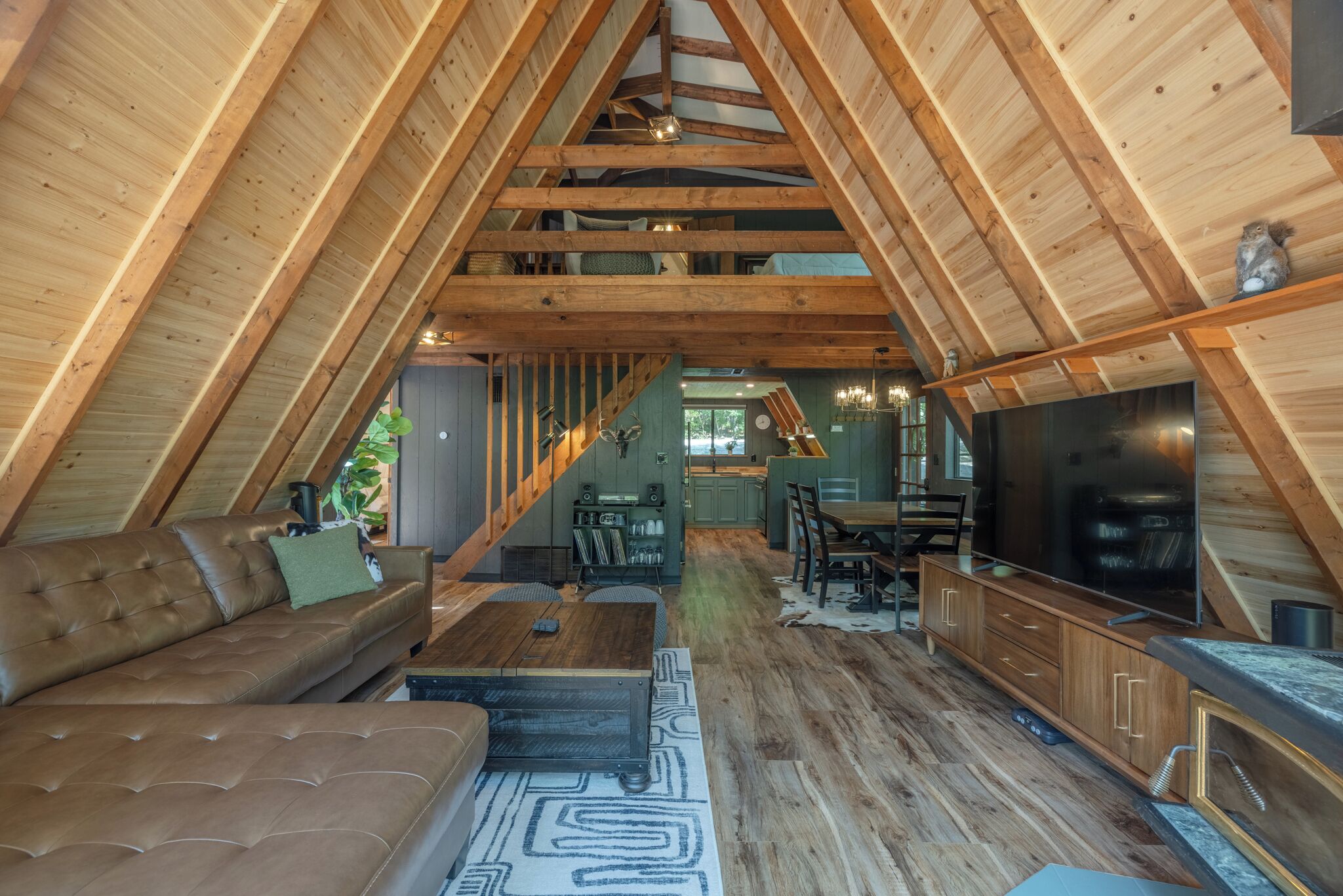 Smart TV, fireplace, video games, DVD player