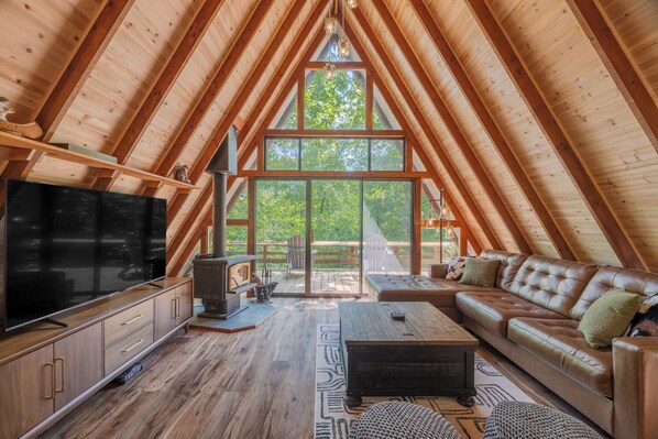 Smart TV, fireplace, video games, DVD player