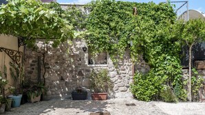 Un cortile con un muro in pietra, piante in vasi e un cancello in metallo.