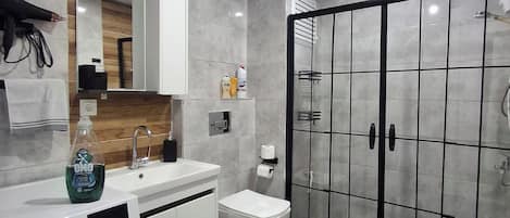 Hair dryer, towels, soap, toilet paper