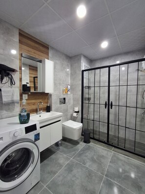 Secadora de cabello, toallas, jabón, papel de baño 