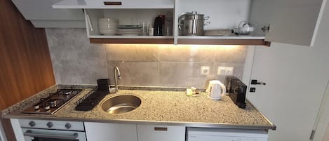 Oven, stovetop, dishwasher