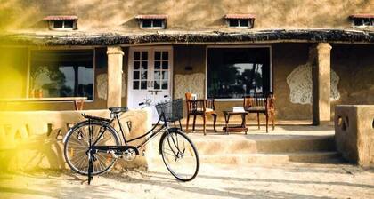 Punjab village farm near Amritsar
