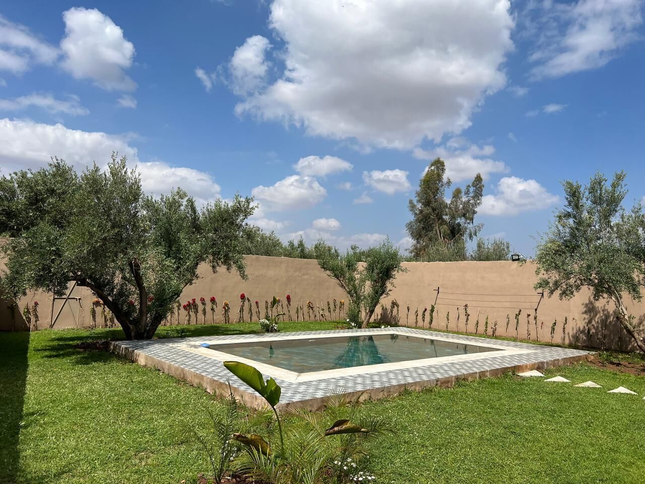 A rectangular swimming pool with a tiled border, surrounded by a well-maintained lawn and various shrubs.