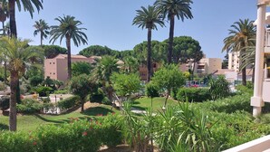 A landscaped garden with palm trees, a pool, and buildings in the background.