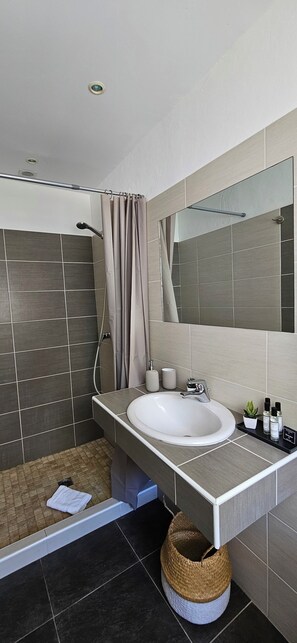 Shower, hair dryer, towels