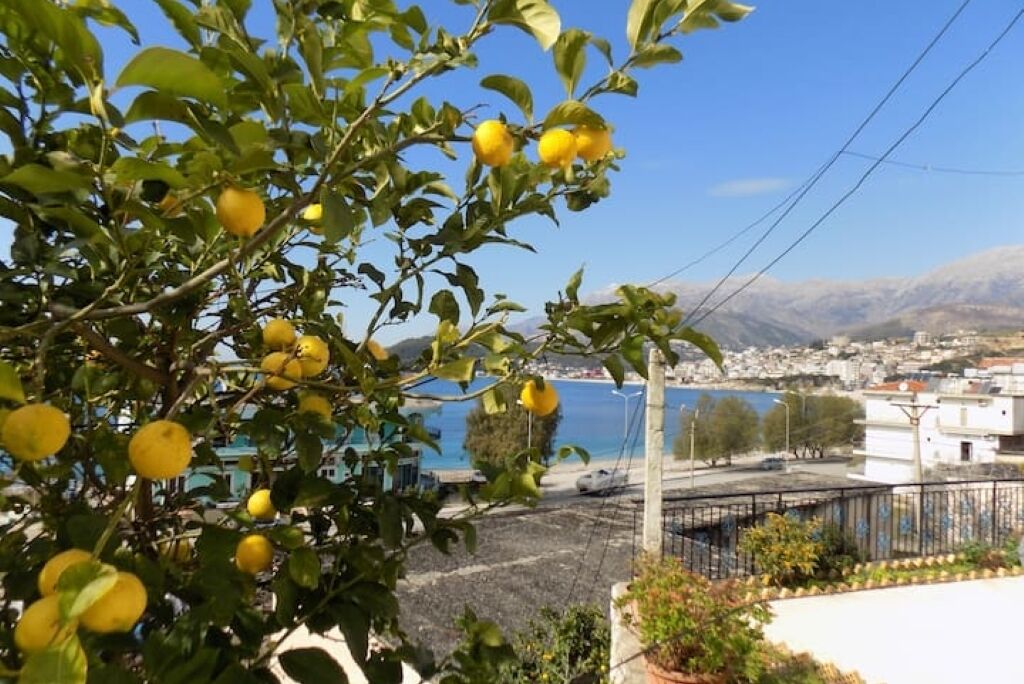 Vista sulla costa con un albero carico di frutti gialli, probabilmente limoni, e un cielo azzurro limpido.