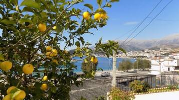 Vista sulla costa con un albero carico di frutti gialli, probabilmente limoni, e un cielo azzurro limpido.