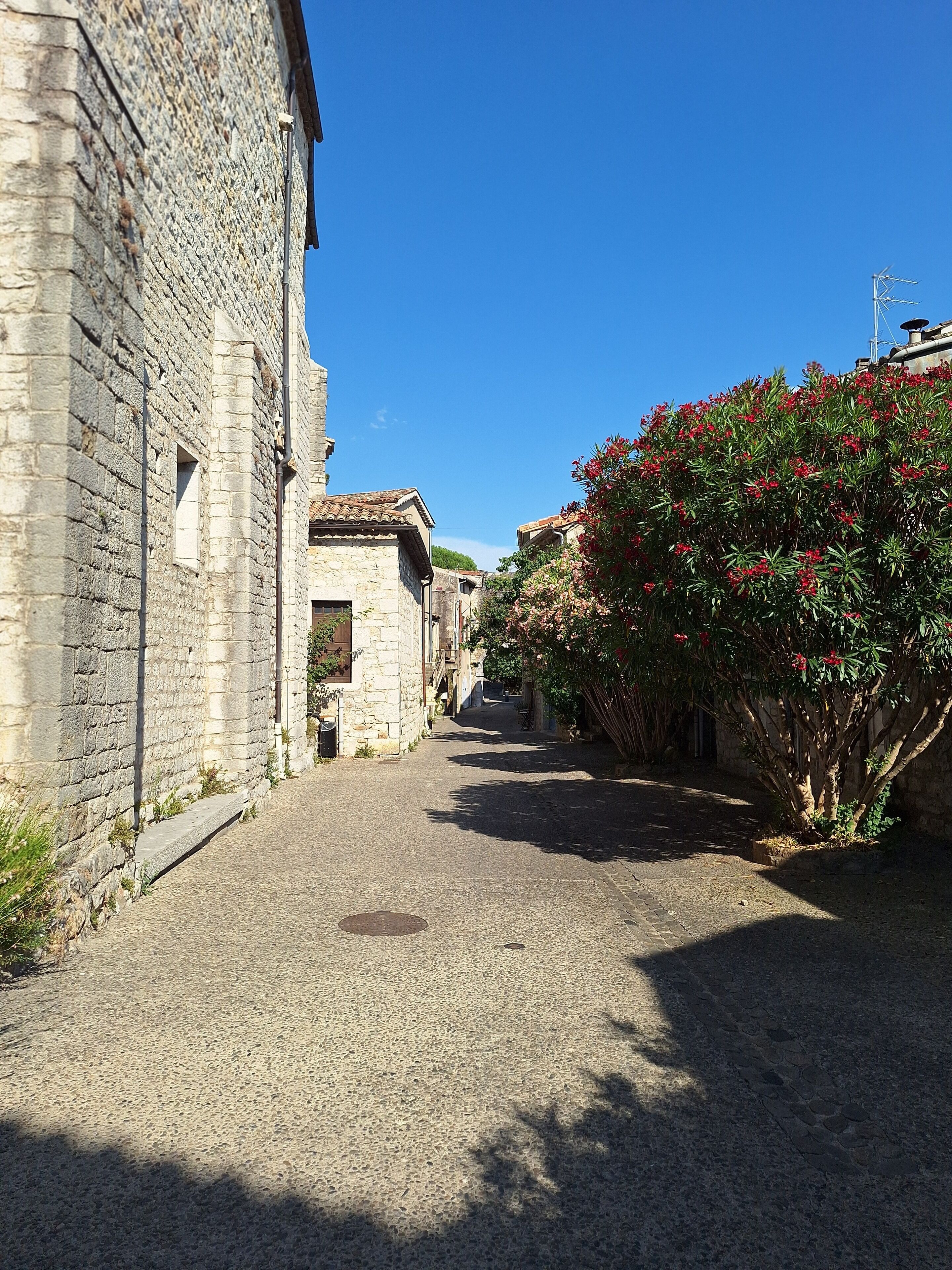 Une ruelle étroite pavée, bordée de bâtiments en pierre dotés de petites fenêtres et de petites portes.