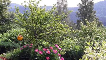 Ferienhaus | Unterkunftsgelände