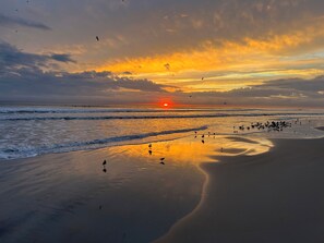 Platja