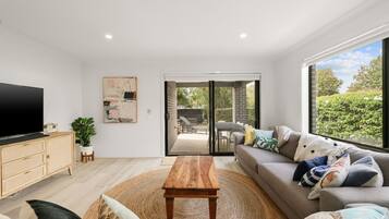 Fernseher, Kamin, DVD-Player, Bücher