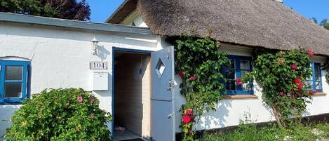 House | Exterior detail