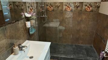 Shower, hair dryer, bidet, towels