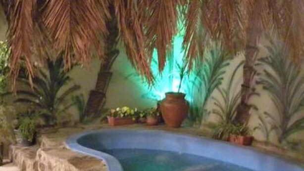 An indoor pool area with a curved edge, surrounded by artificial palm trees and potted plants. - Club Hostel (San Salvador de Jujuy)