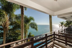 Property grounds - Bombinhas Tourist (Bombinhas)