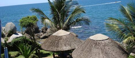 Zona de playa con sombrillas de paja, palmeras y vista al océano.
