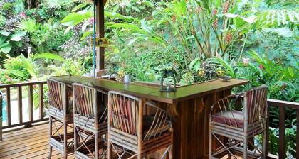 Ocean & Forest Views, Wildlife, Pool, Beach, Family & Friends, A/C....5 Star!