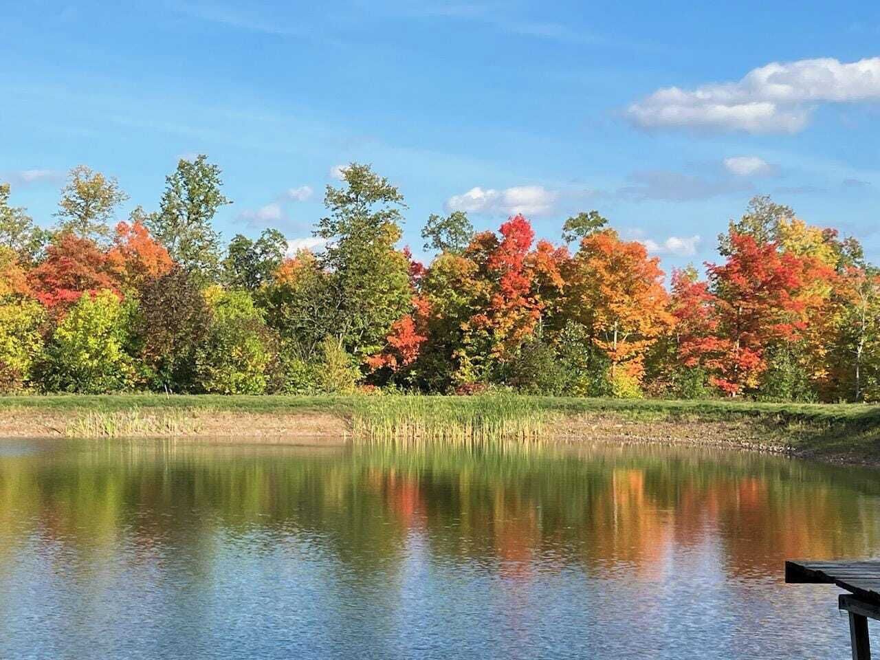 A calm lake with autumn foliage and a clear sky.