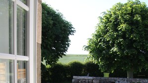 Vista a través de una ventana que muestra un muro de piedra, un césped y un árbol.