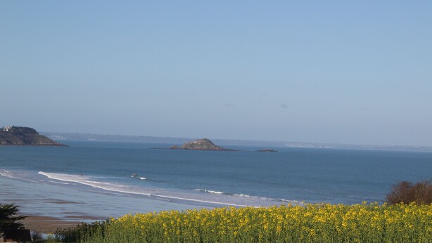 Un paisaje costero con una vista despejada del mar, una isla distante y un campo de flores amarillas en primer plano.