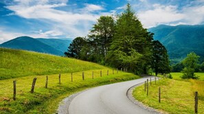 Une route sinueuse dans une zone rurale, bordée de champs verdoyants et d’un grand arbre sur la droite.