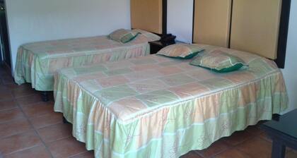 Hotel Catedral