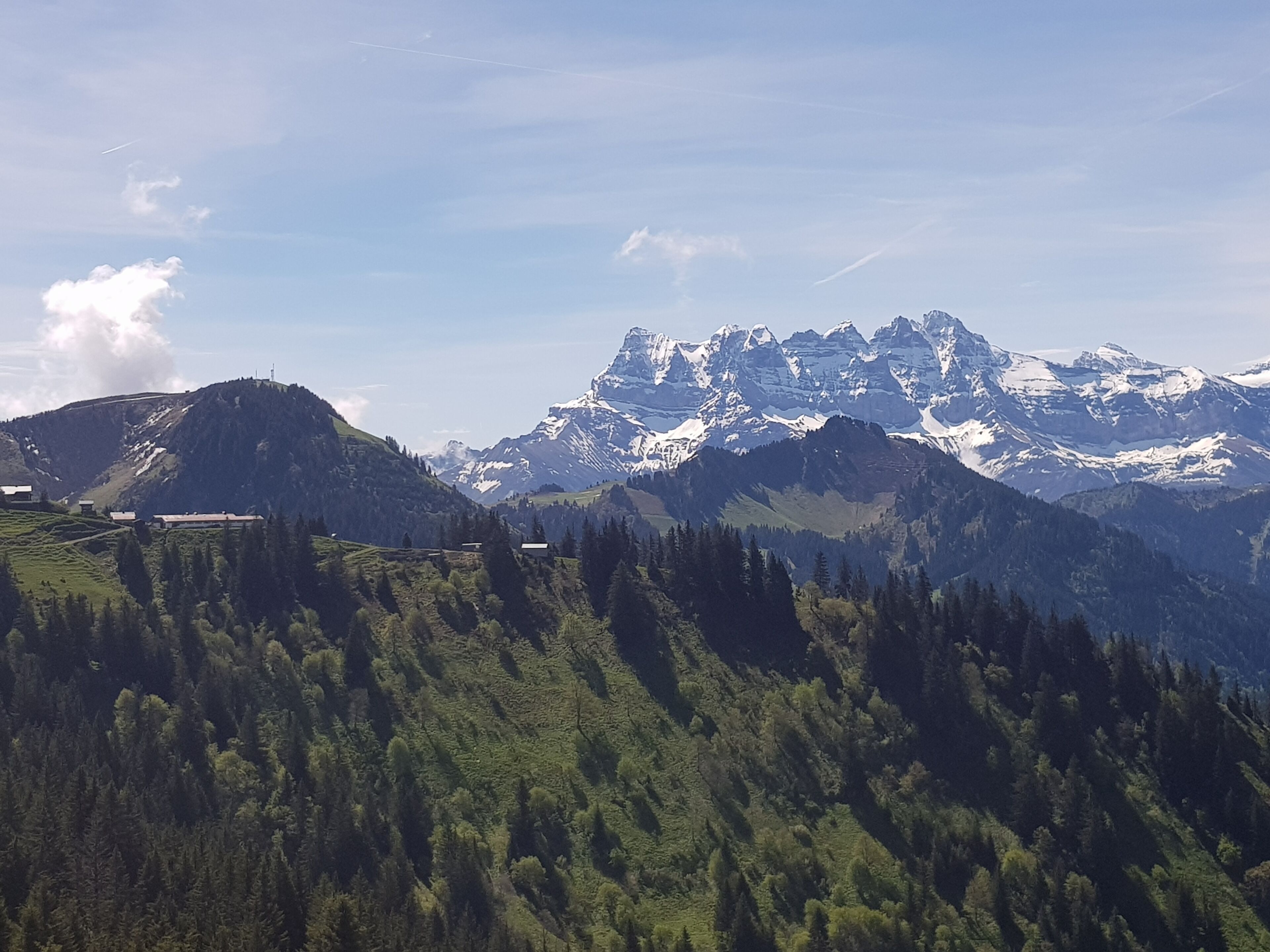 Un paysage montagneux avec des sommets enneigés, une forêt dense et un ciel dégagé.