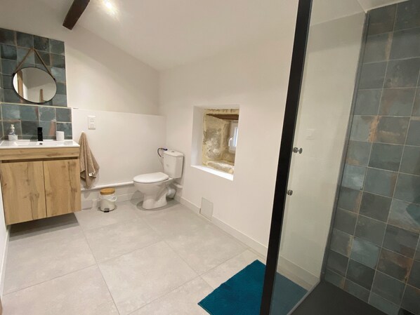 A bathroom with a toilet, a sink, a mirror, and a shower area.