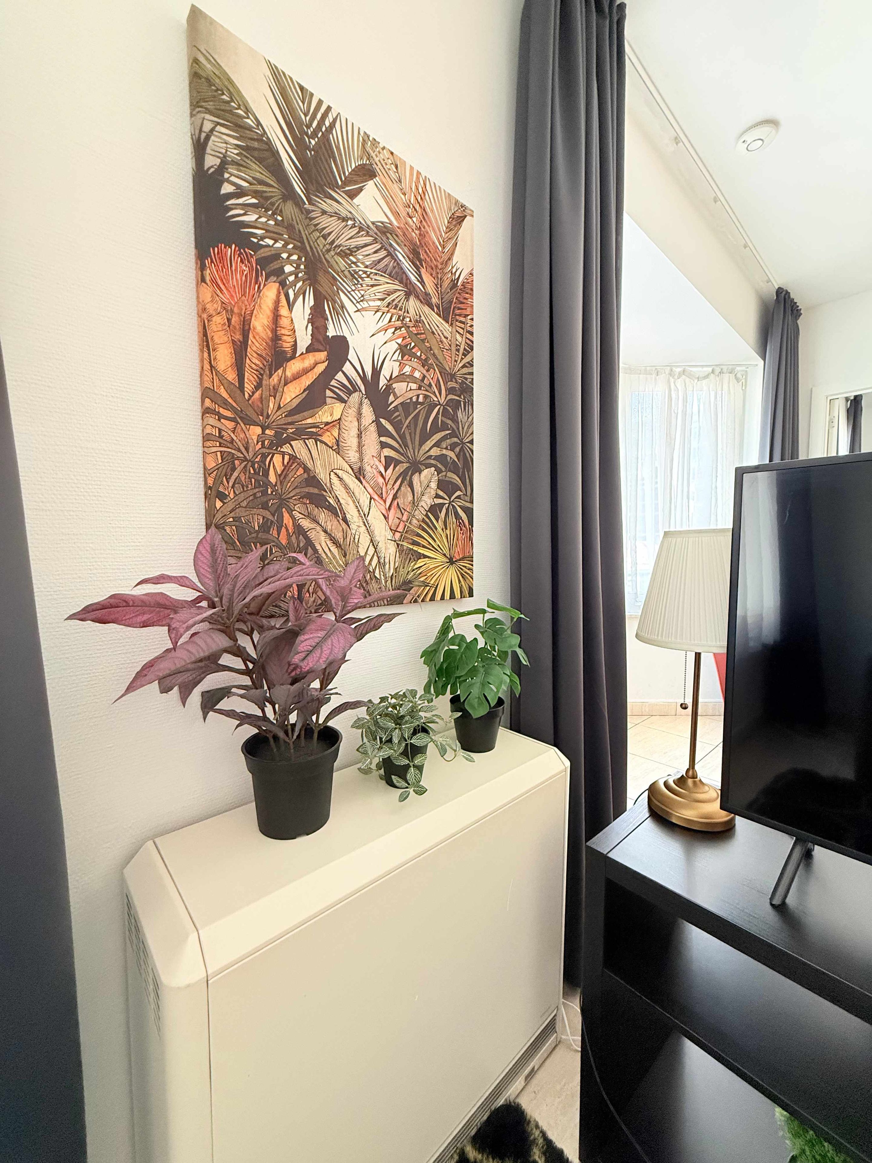 Une pièce avec un radiateur blanc, un téléviseur à écran plat posé sur un meuble noir, et trois plantes en pot sur une console blanche.