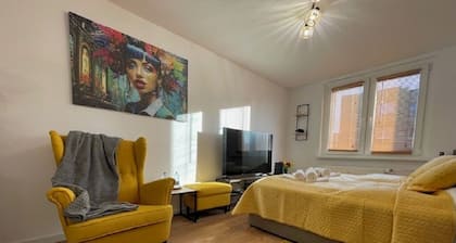 Business Class Studio Apartment Katowice Silesia City Center
