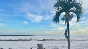 A beach with four lounge chairs, a palm tree, and a view of the water.