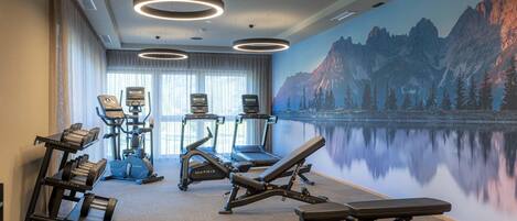 A gym with treadmills, elliptical machines, and weight benches, featuring a mountain landscape mural and circular ceiling lights.