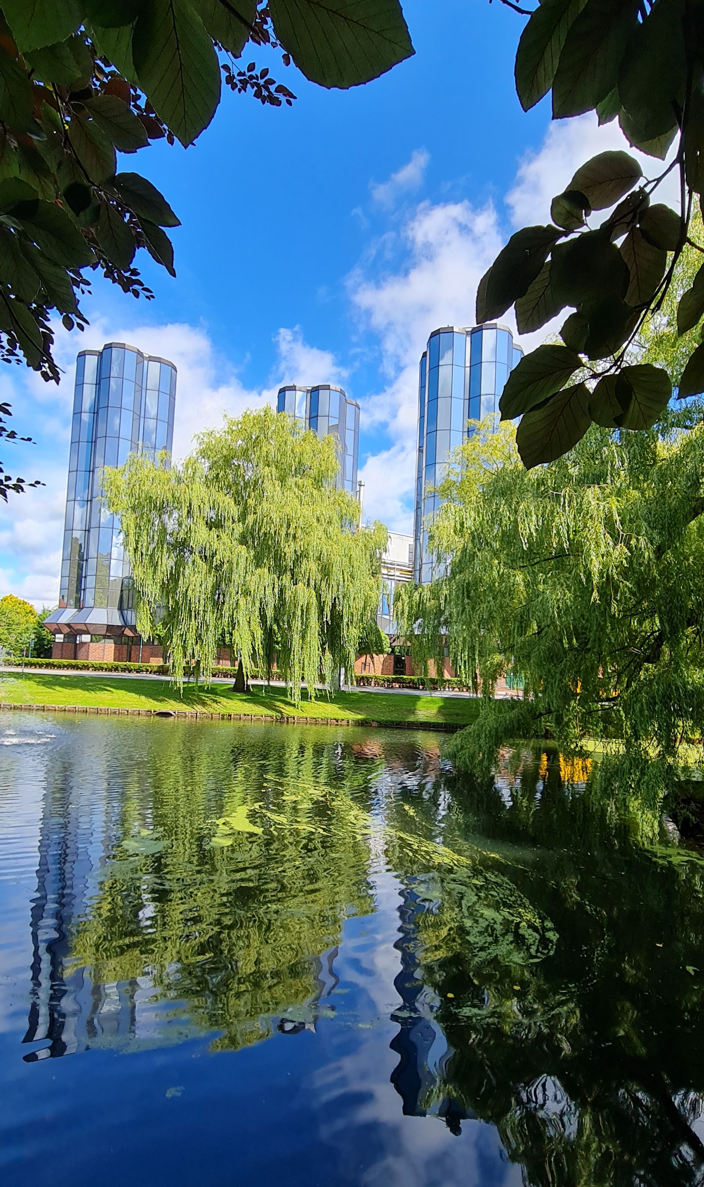 Un parque tranquilo con un estanque que refleja edificios, rodeado de abundante vegetación y arquitectura moderna.