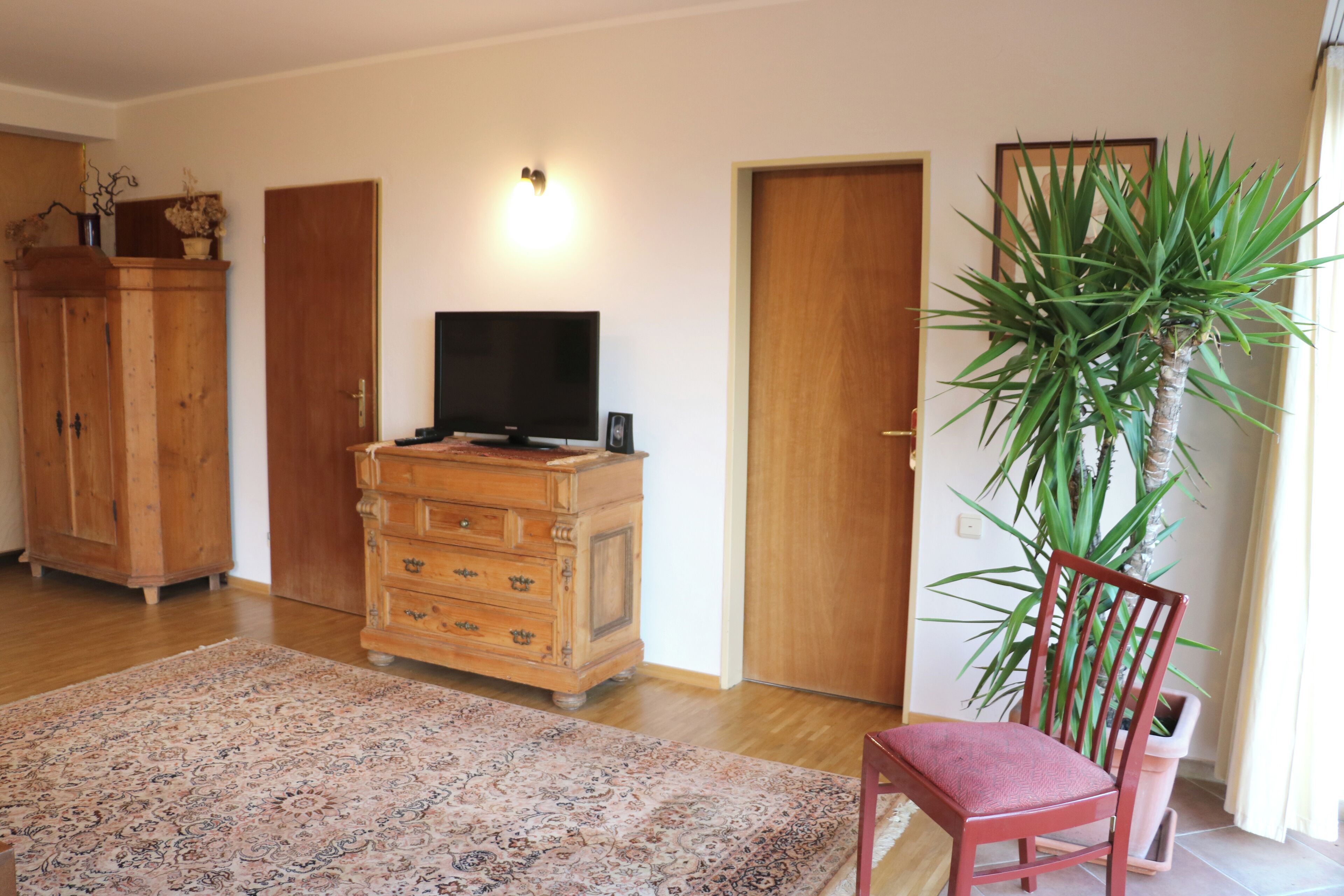 Una habitación con un aparador de madera, un televisor, una silla roja, una planta grande en maceta y un tapete estampado.