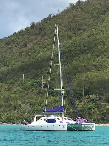 Voyage Cat 50