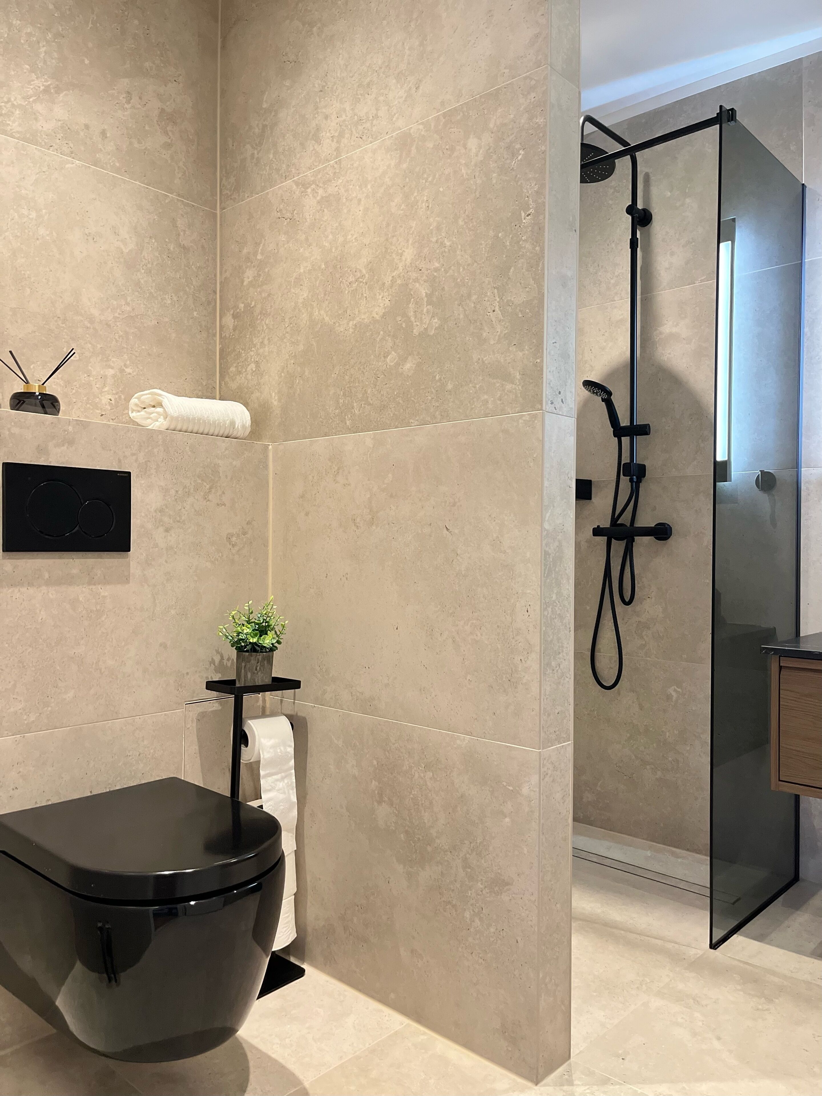 Hair dryer, towels, soap, toilet paper