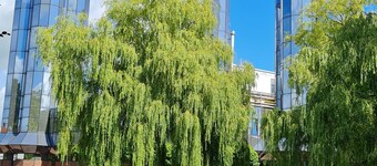 Stadtvilla Jever # Apartment Minssen