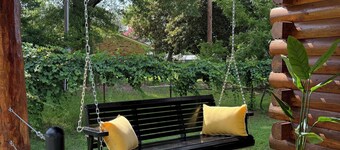 Blackberry Bungalow,,Cozy cabin in charming Longview with WiFi, AC , a