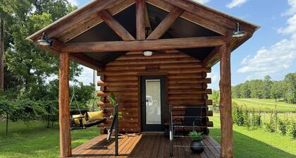 Blackberry Bungalow,,Cozy cabin in charming Longview with WiFi, AC , a