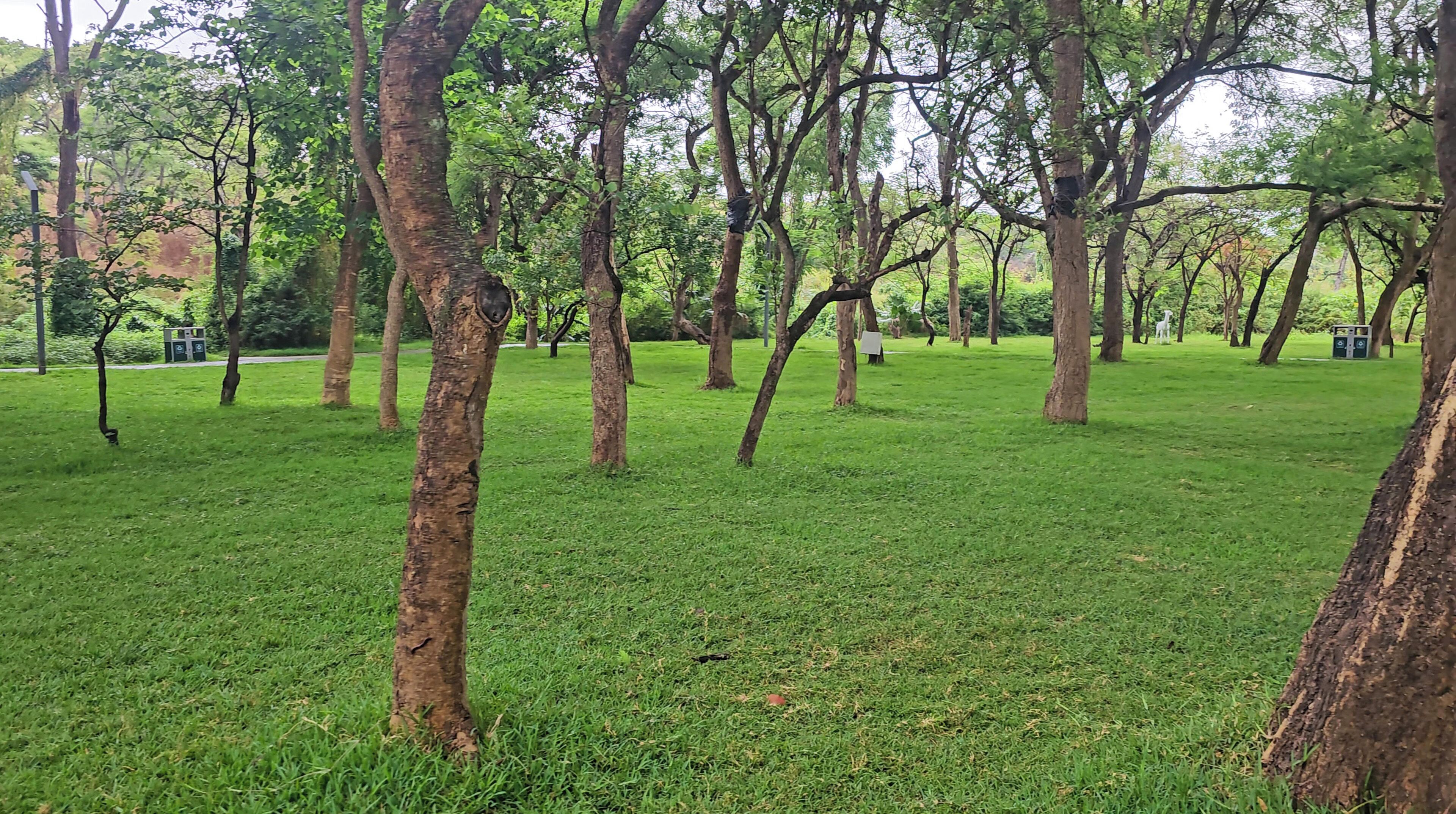 Overnattingsstedets uteområder