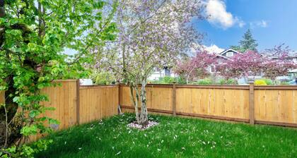 Newly renovated 3B2B home with parking, yard, AC in lovely Seattle Mt Baker