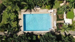 Vista aérea de una piscina rectangular rodeada de palmeras y follaje, con sillas de descanso y una pequeña zona de terraza.