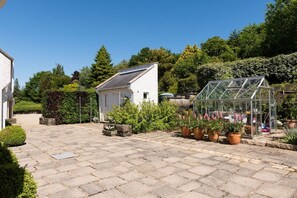 Un patio empedrado con un invernadero, un edificio blanco y varias plantas.