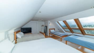 Een slaapkamer met een groot bed, een televisie en een dakraam.