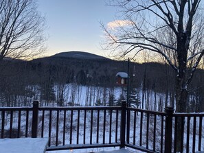 Property grounds - Charming 3-bedroom house in the Catskills. Pet friendly with fantastic views (Hunter)